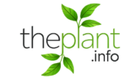 ThTHePlant.info Logo